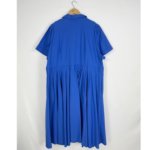 Blue Button-Up Midi Dress - Picture 7 of 15